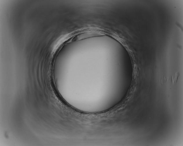 X0000099930007200806061505