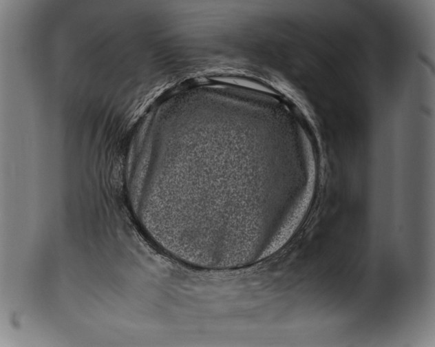 X0000099930009200806061505