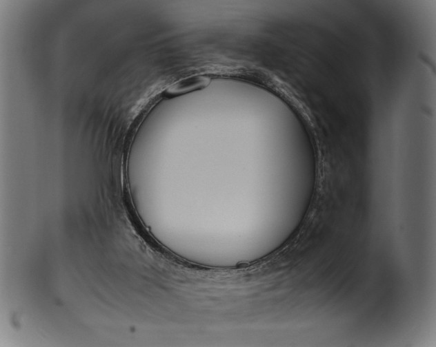 X0000099930011200806061505