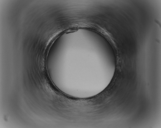 X0000099930012200806061505