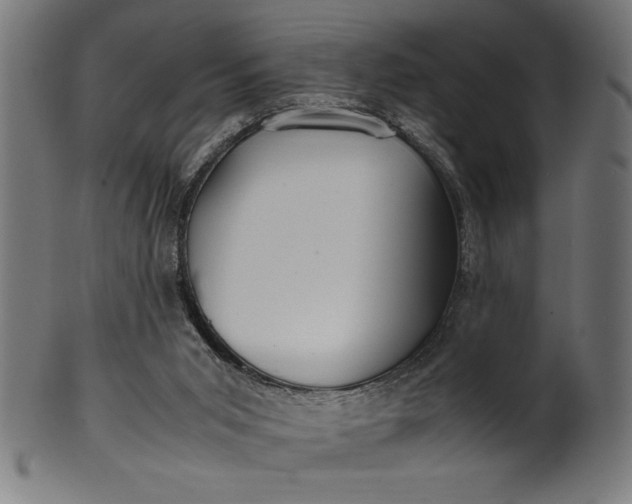 X0000099930015200806061505