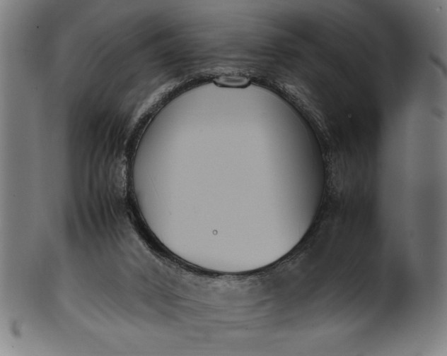 X0000099930016200806061505