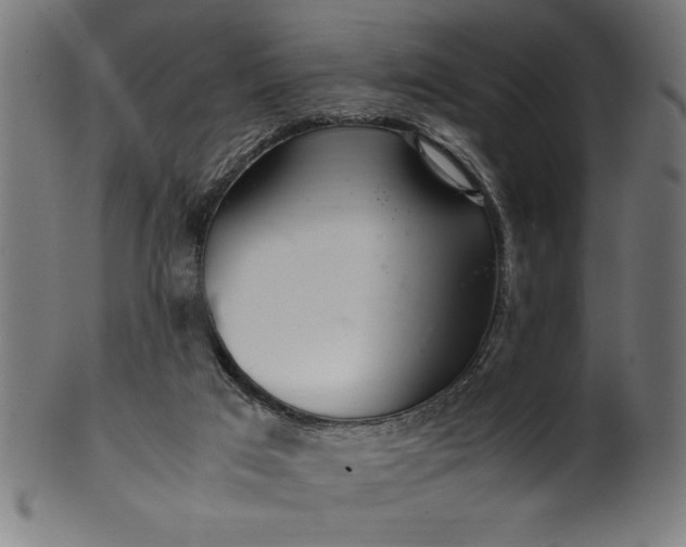 X0000099930017200806061505