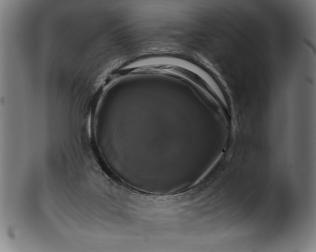 X0000099930019200806061505