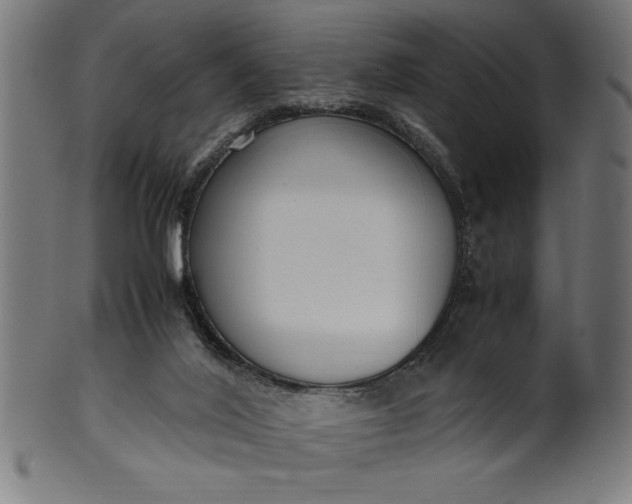 X0000099930020200806061505