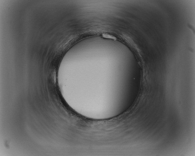 X0000099930021200806061505