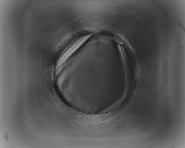 X0000099930023200806061505