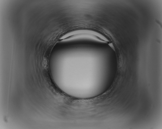 X0000099930025200806061505