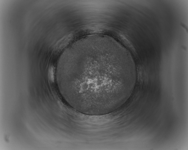 X0000099930026200806061505