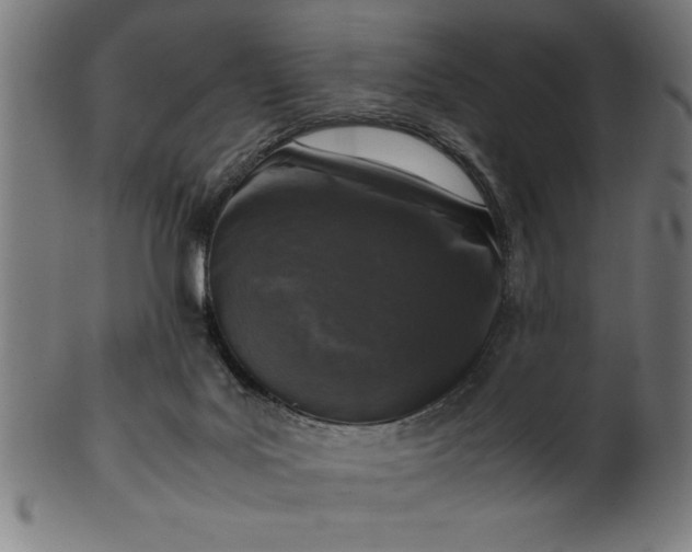 X0000099930027200806061505