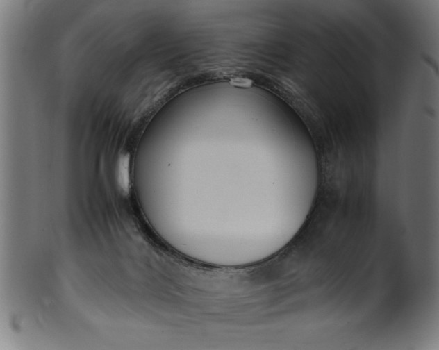 X0000099930028200806061505