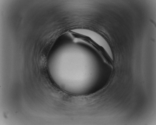 X0000099930029200806061505