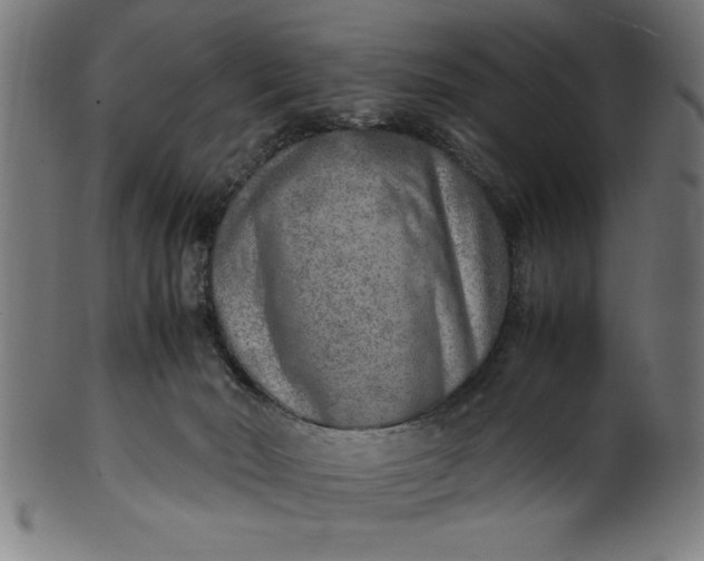 X0000099930030200806061505