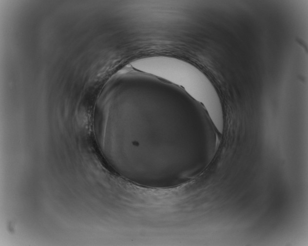 X0000099930031200806061505