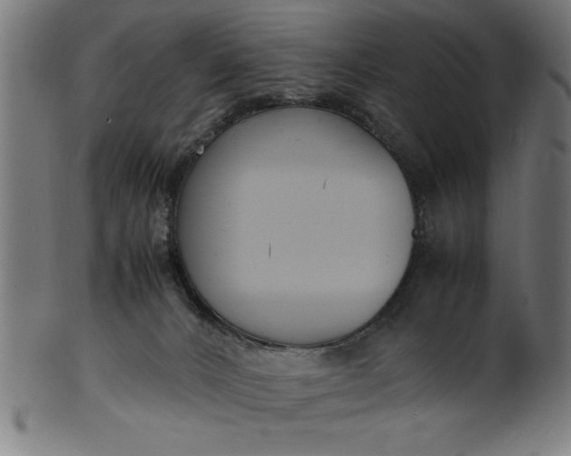 X0000099930032200806061505