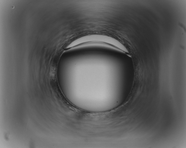 X0000099930033200806061505