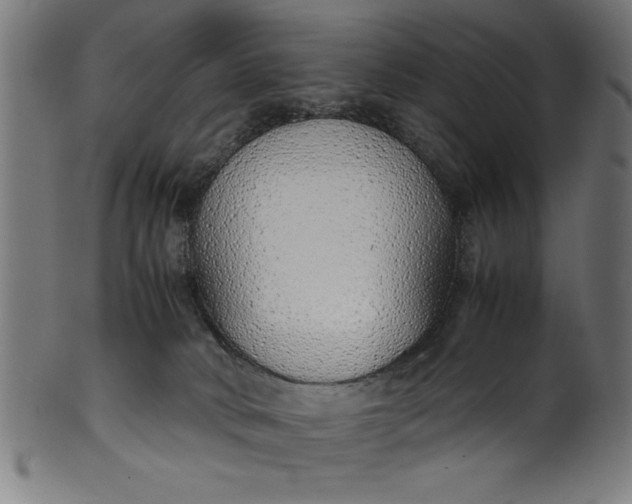 X0000099930034200806061505