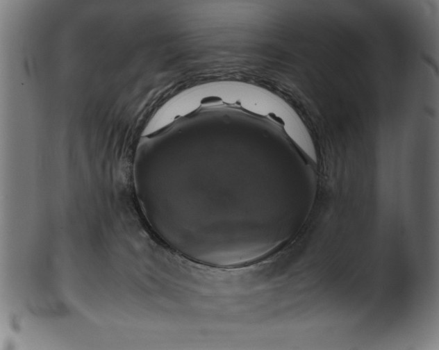 X0000099930035200806061505