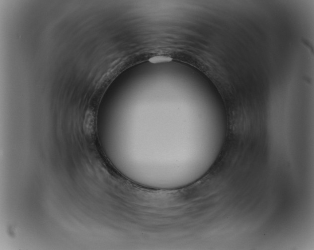 X0000099930036200806061505