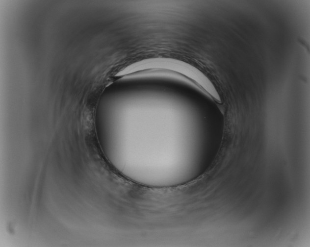 X0000099930037200806061505