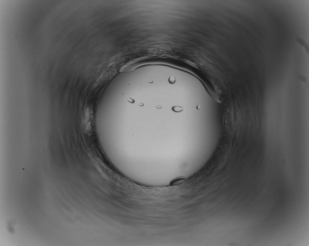 X0000099930038200806061505