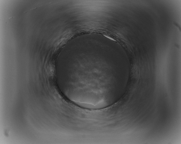 X0000099930039200806061505