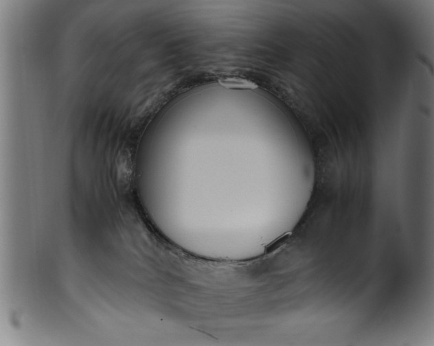 X0000099930040200806061505