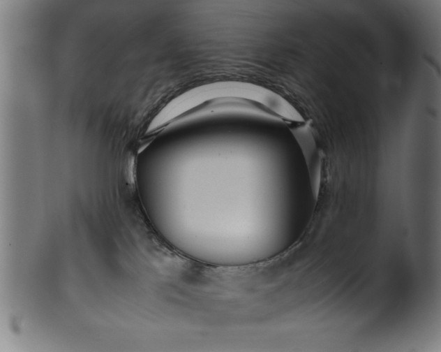 X0000099930041200806061504