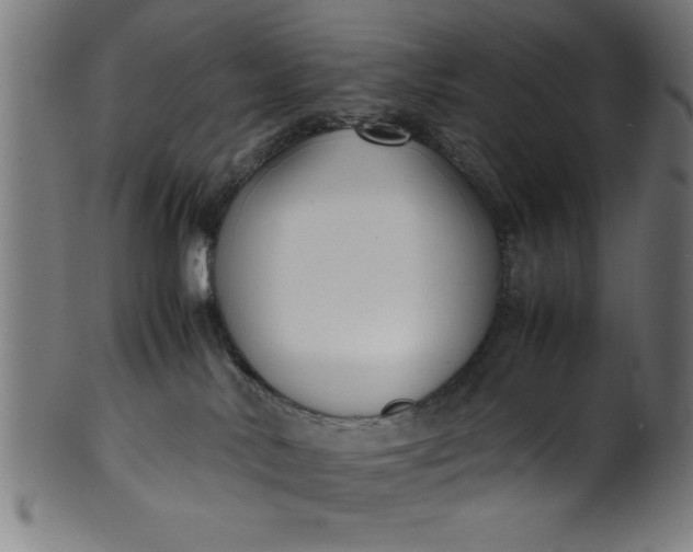 X0000099930042200806061504