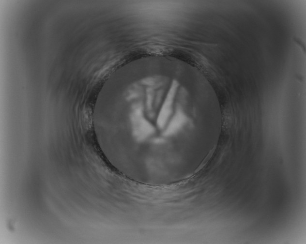 X0000099930043200806061504