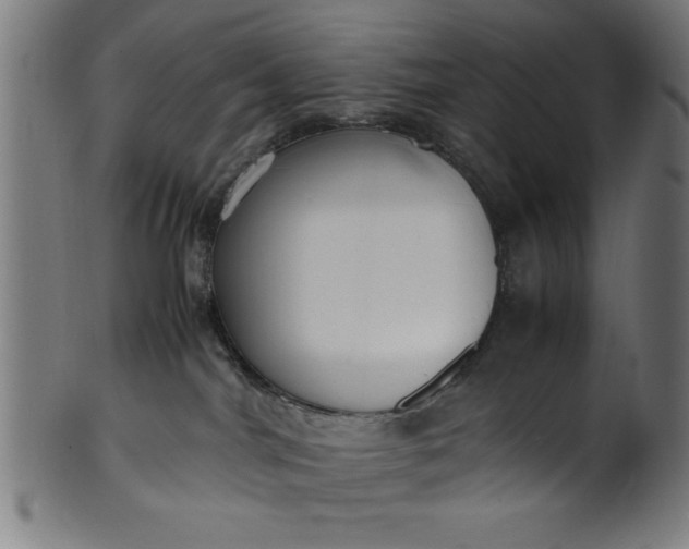 X0000099930044200806061504