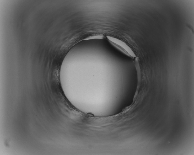 X0000099930045200806061504