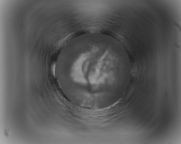 X0000099930047200806061504