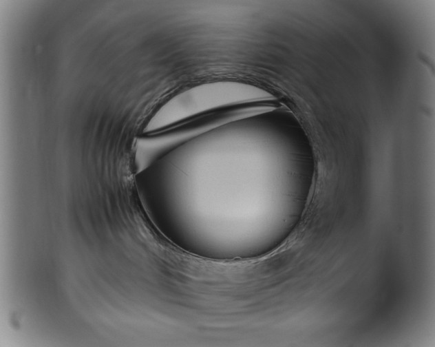 X0000099930048200806061504