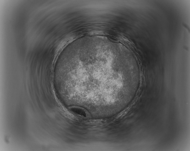 X0000099930049200806061504