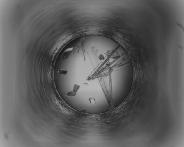 X0000099930050200806061504