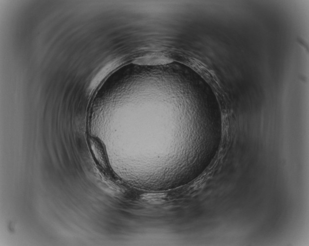 X0000099930051200806061504