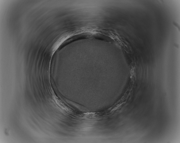 X0000099930052200806061504