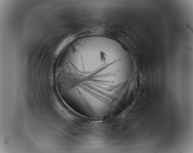 X0000099930054200806061504