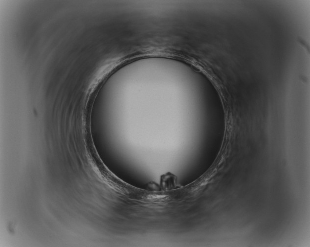 X0000099930055200806061504