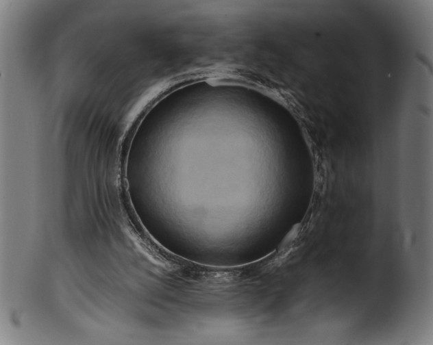 X0000099930056200806061504