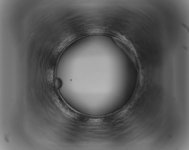 X0000099930057200806061504