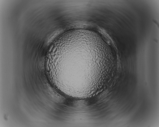 X0000099930058200806061504