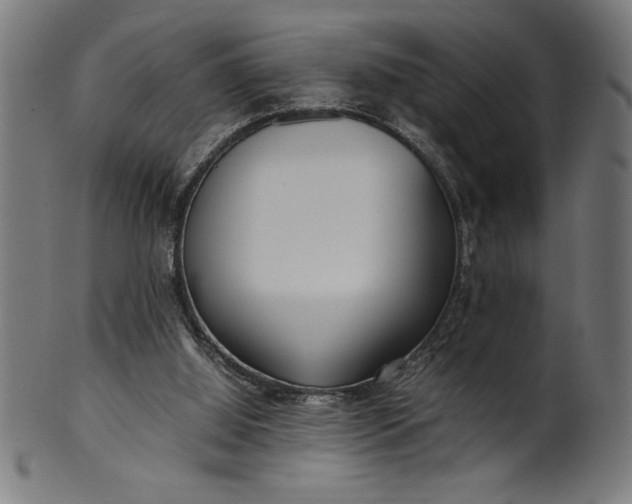 X0000099930060200806061504