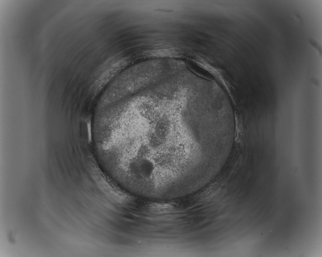 X0000099930061200806061504