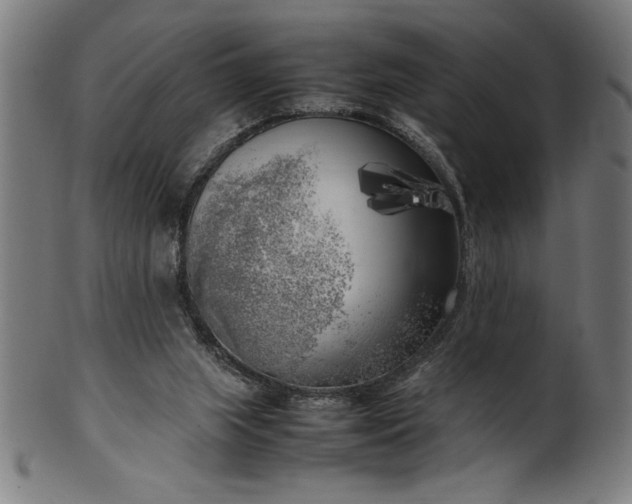 X0000099930063200806061504