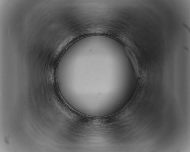 X0000099930064200806061504