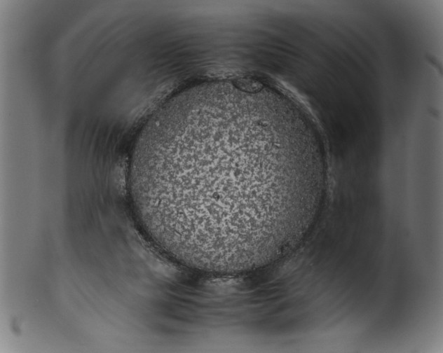 X0000099930065200806061504