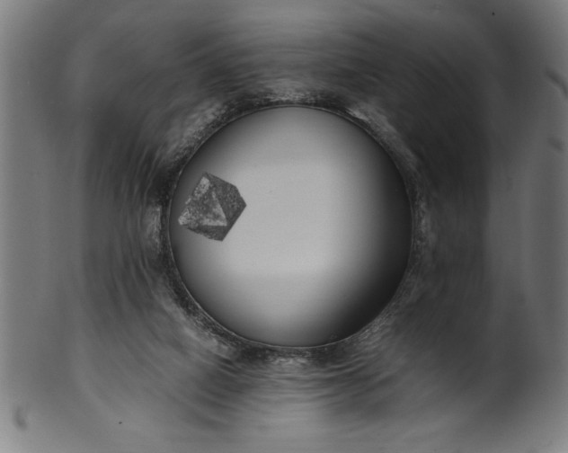 X0000099930066200806061504