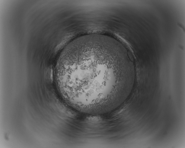 X0000099930067200806061504